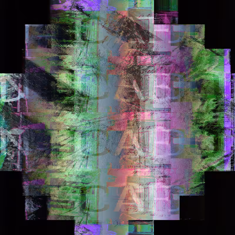Pay attention to me beacause I make art #86