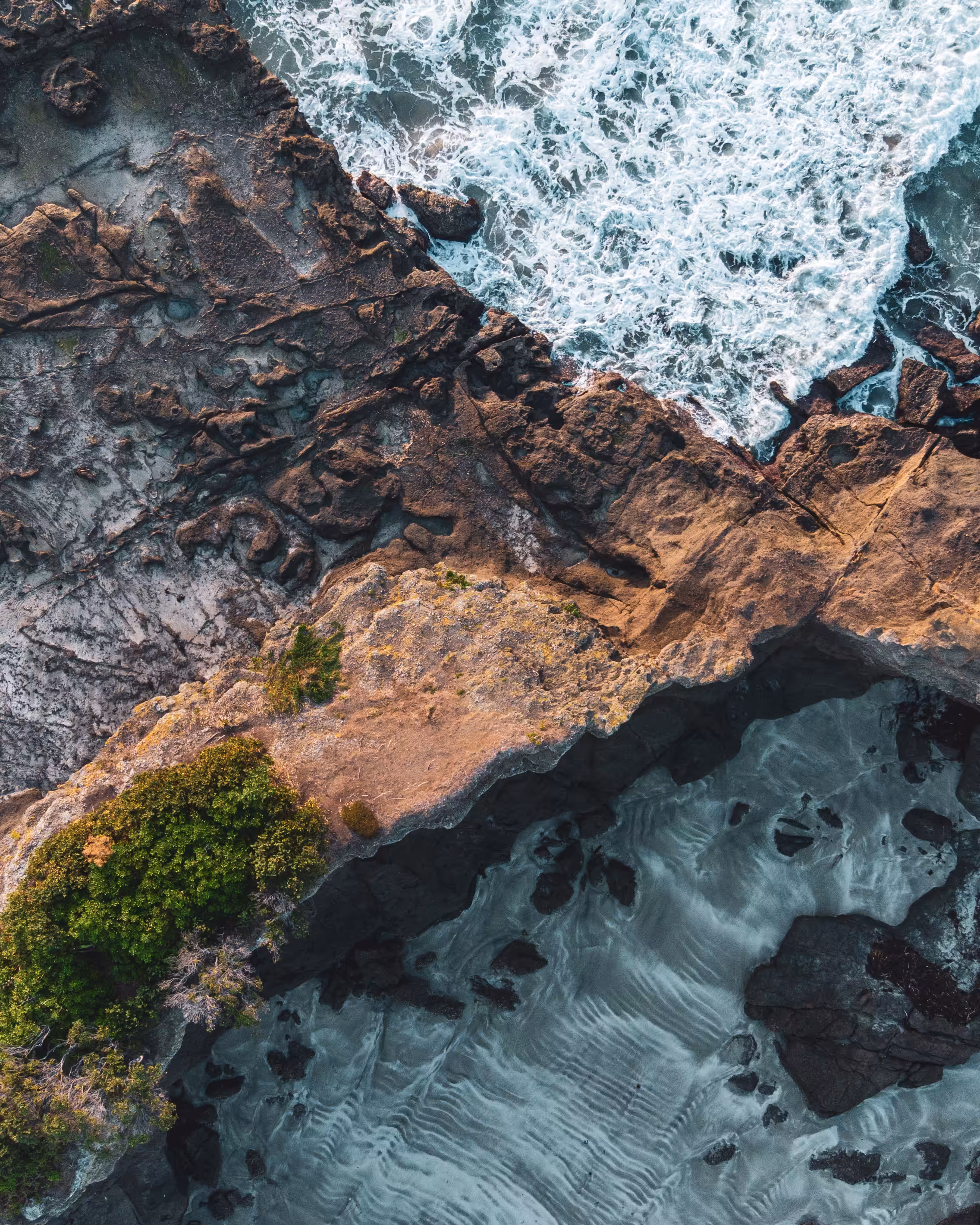 Tāwharanui Textures
