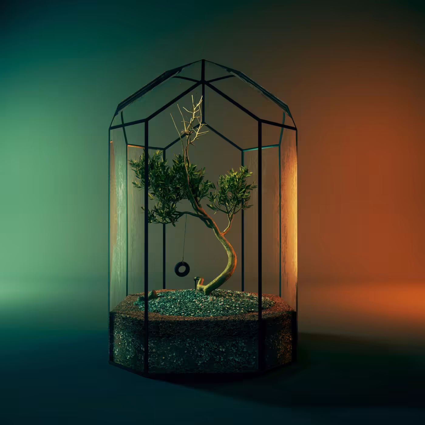 Terrarium #12