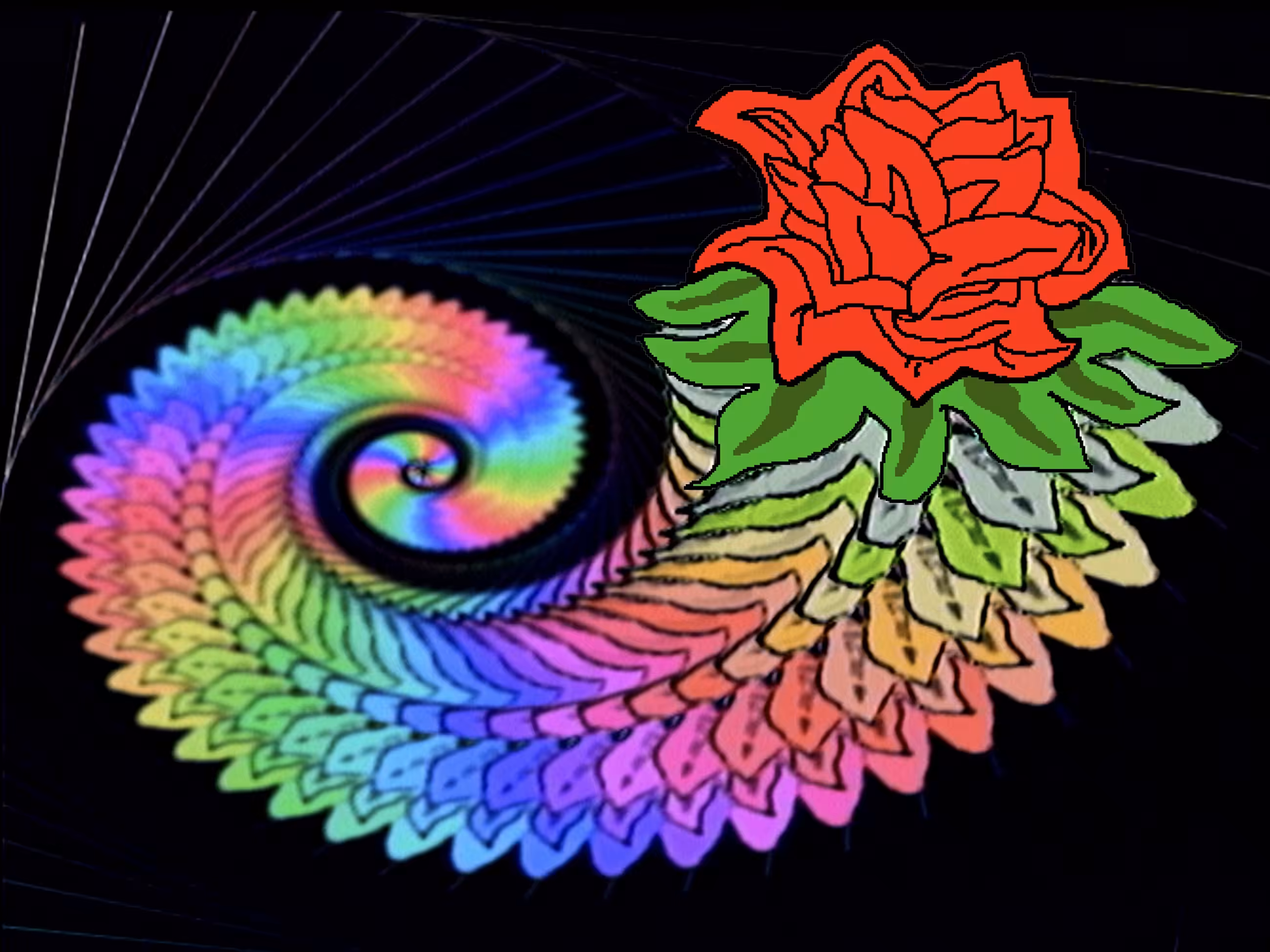 III/XXIII The Ecstatic Blossoming