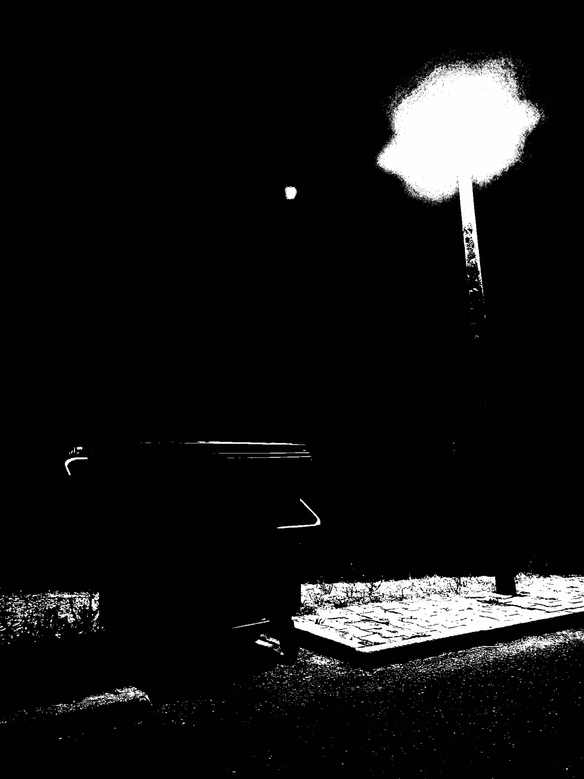 Dark Trash 