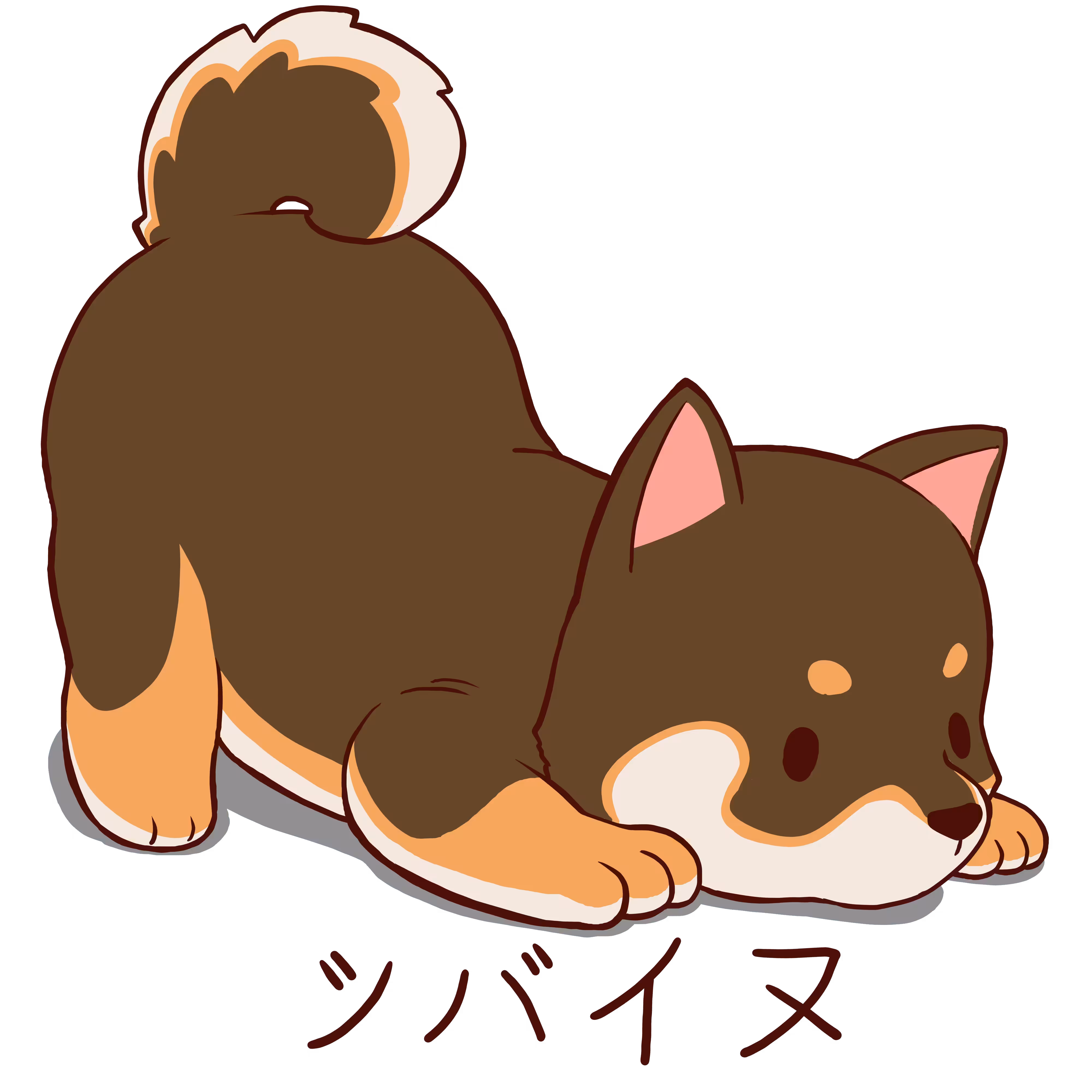 Shiba inu