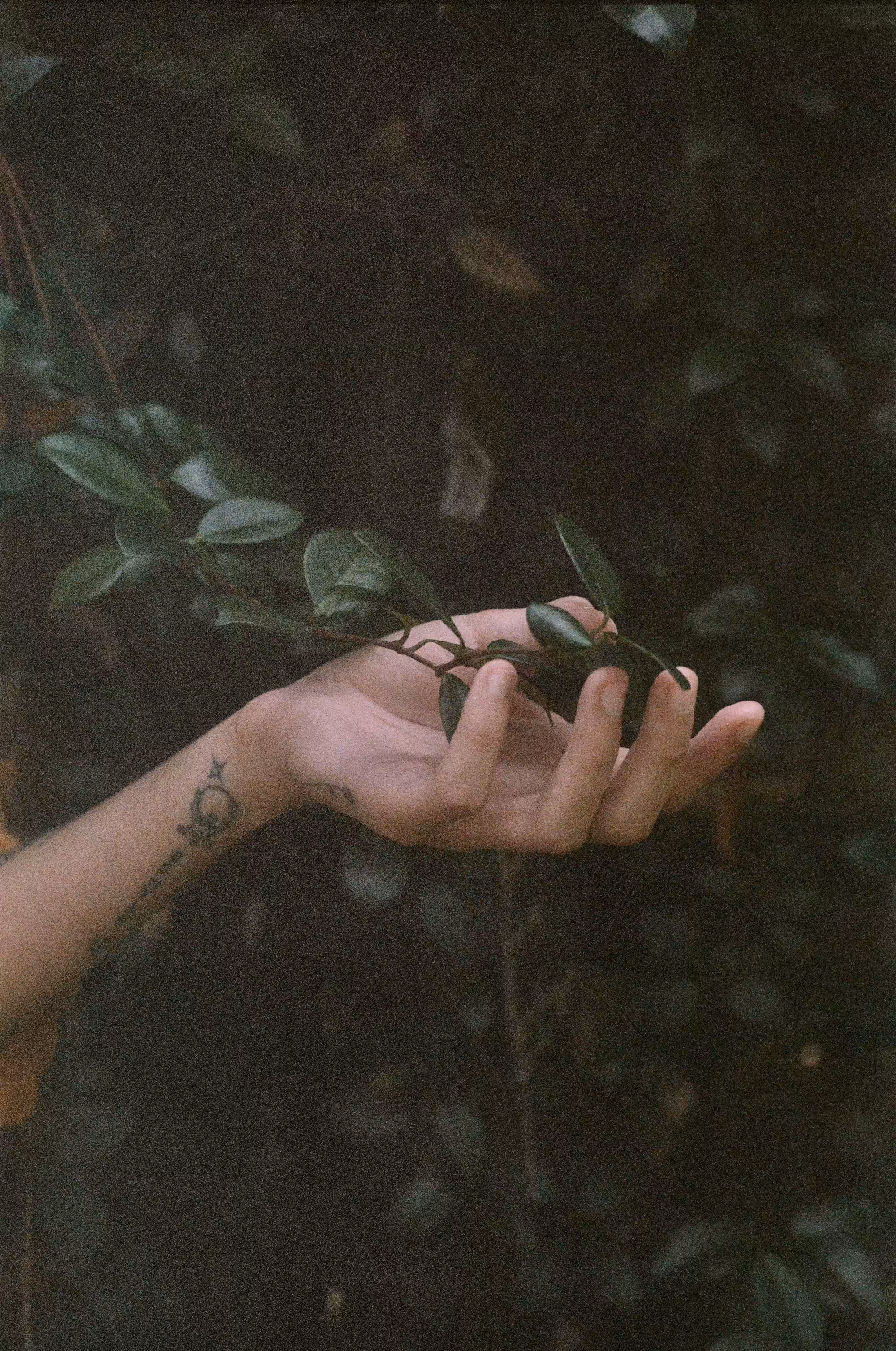 a waning hand