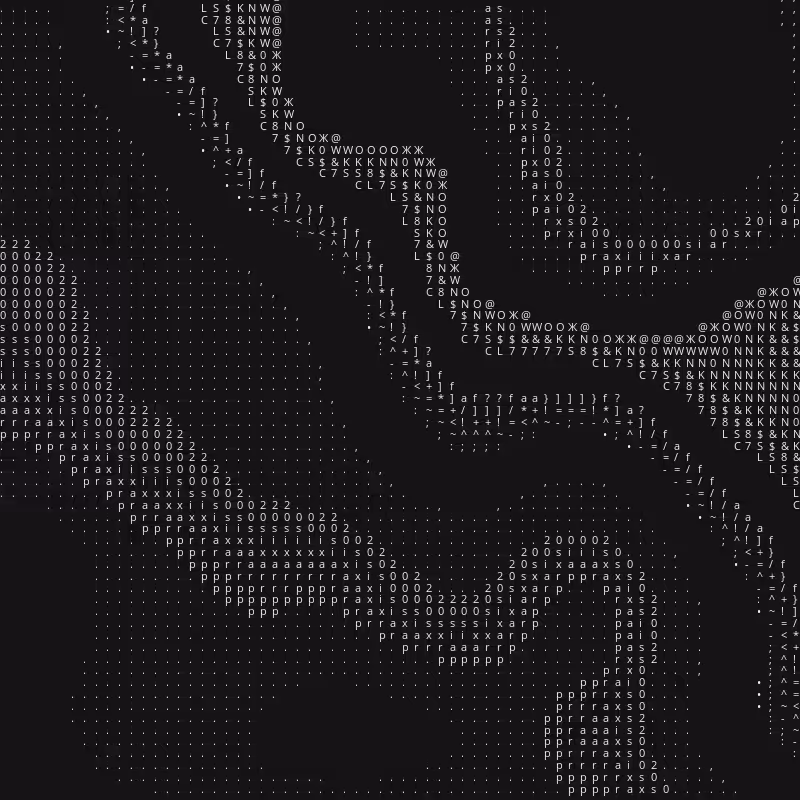 Praxis 002 #29