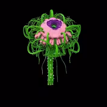 ▒▒▒dreamRAM▒▒▒::newfangled verses Exhibition Trailer