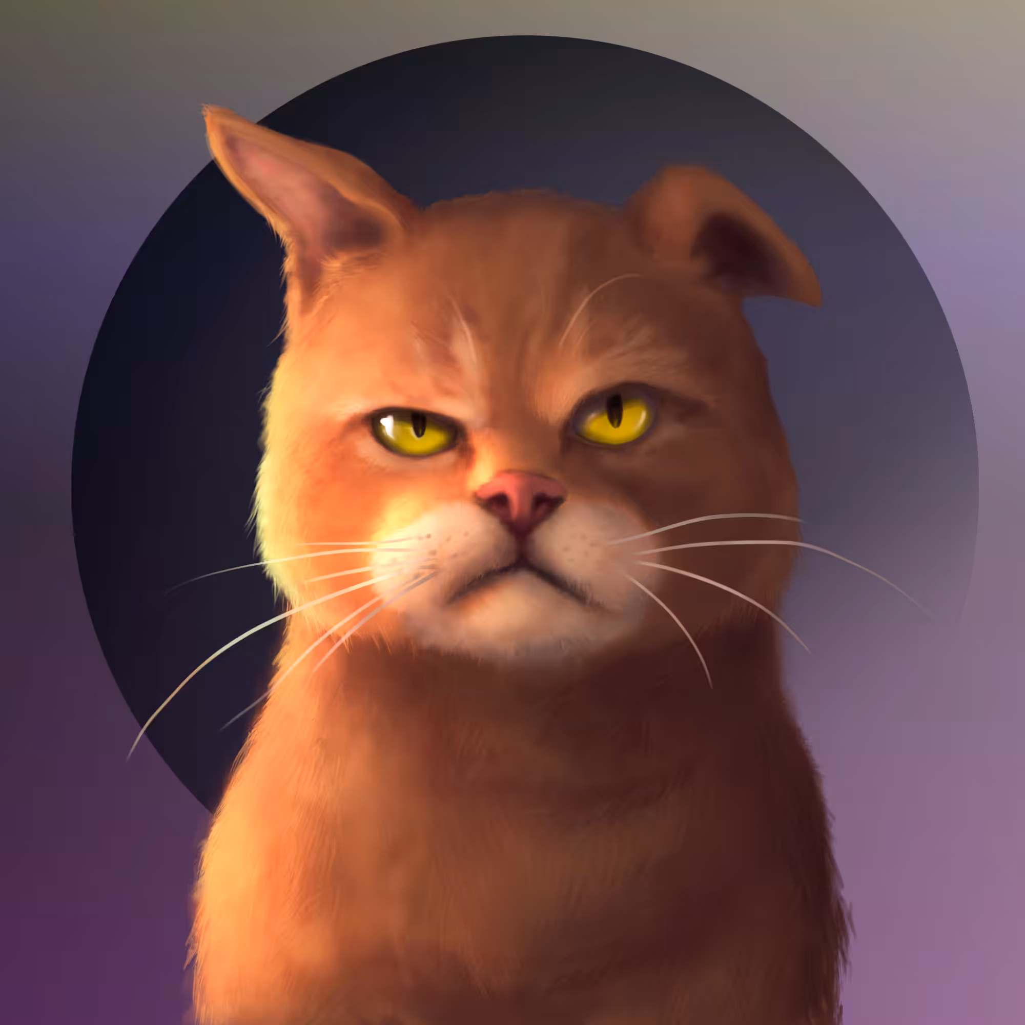 Gangsta Cat #16