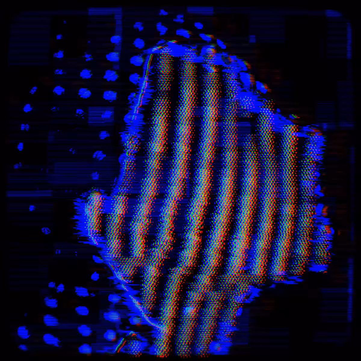 My Digital Face