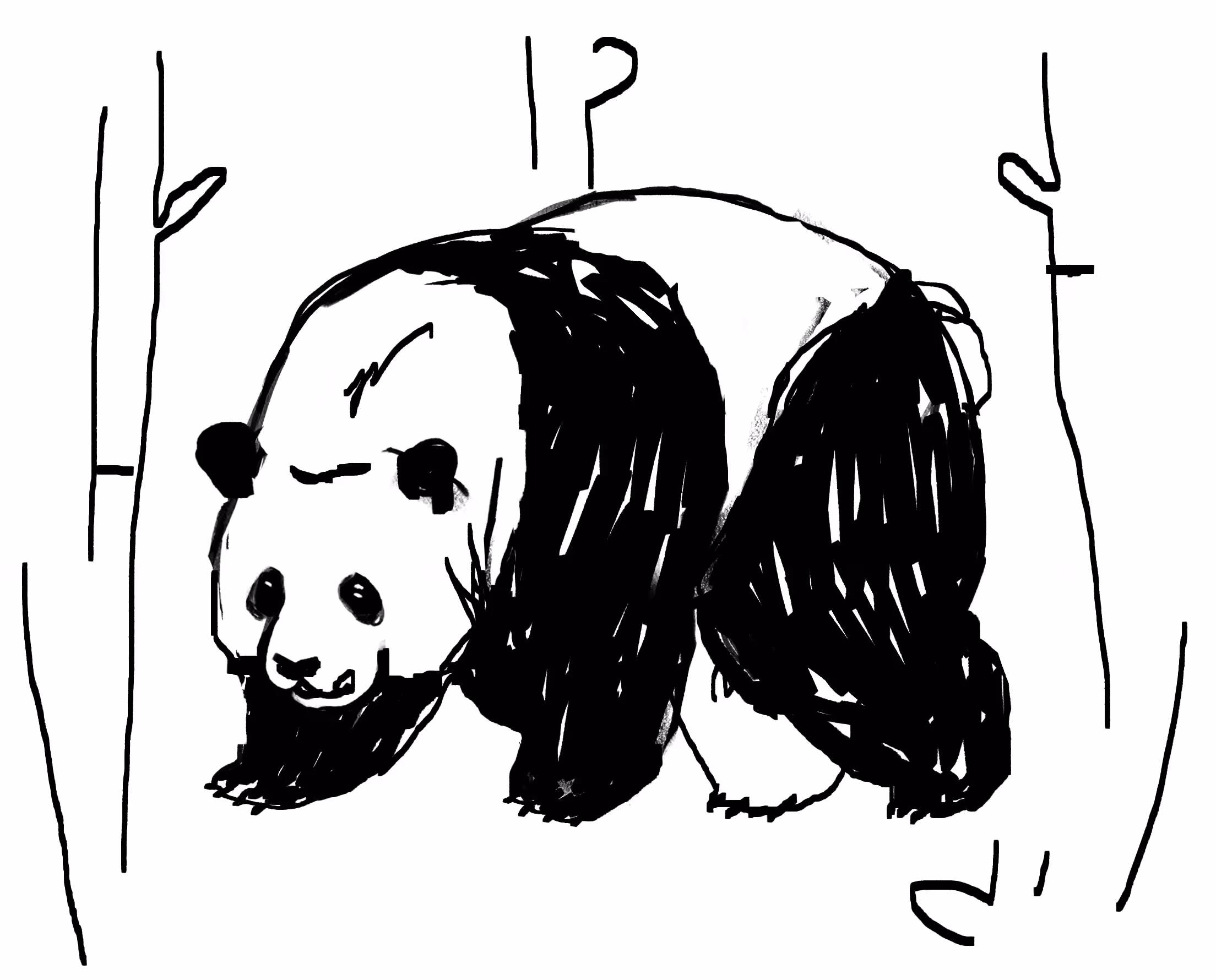 Day 3 Panda