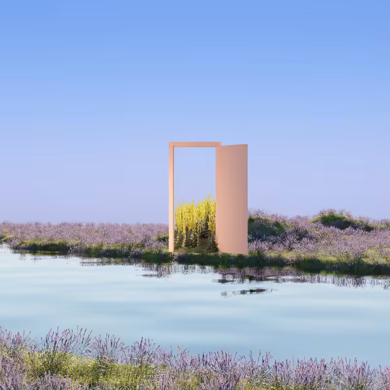 The Door #5