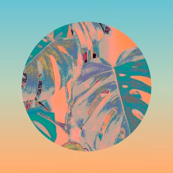 Monstera Moon 03