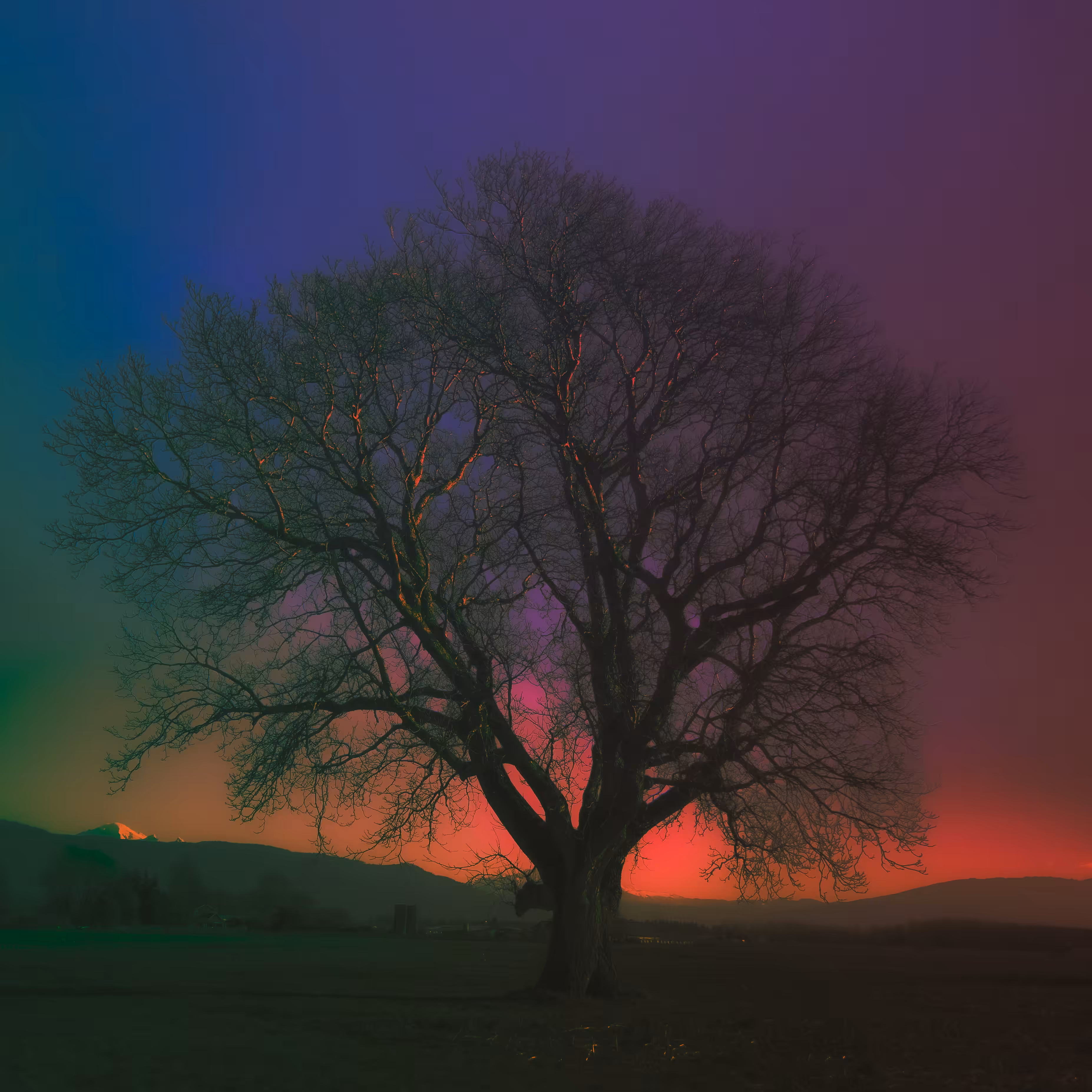 Technicolor Flow #05