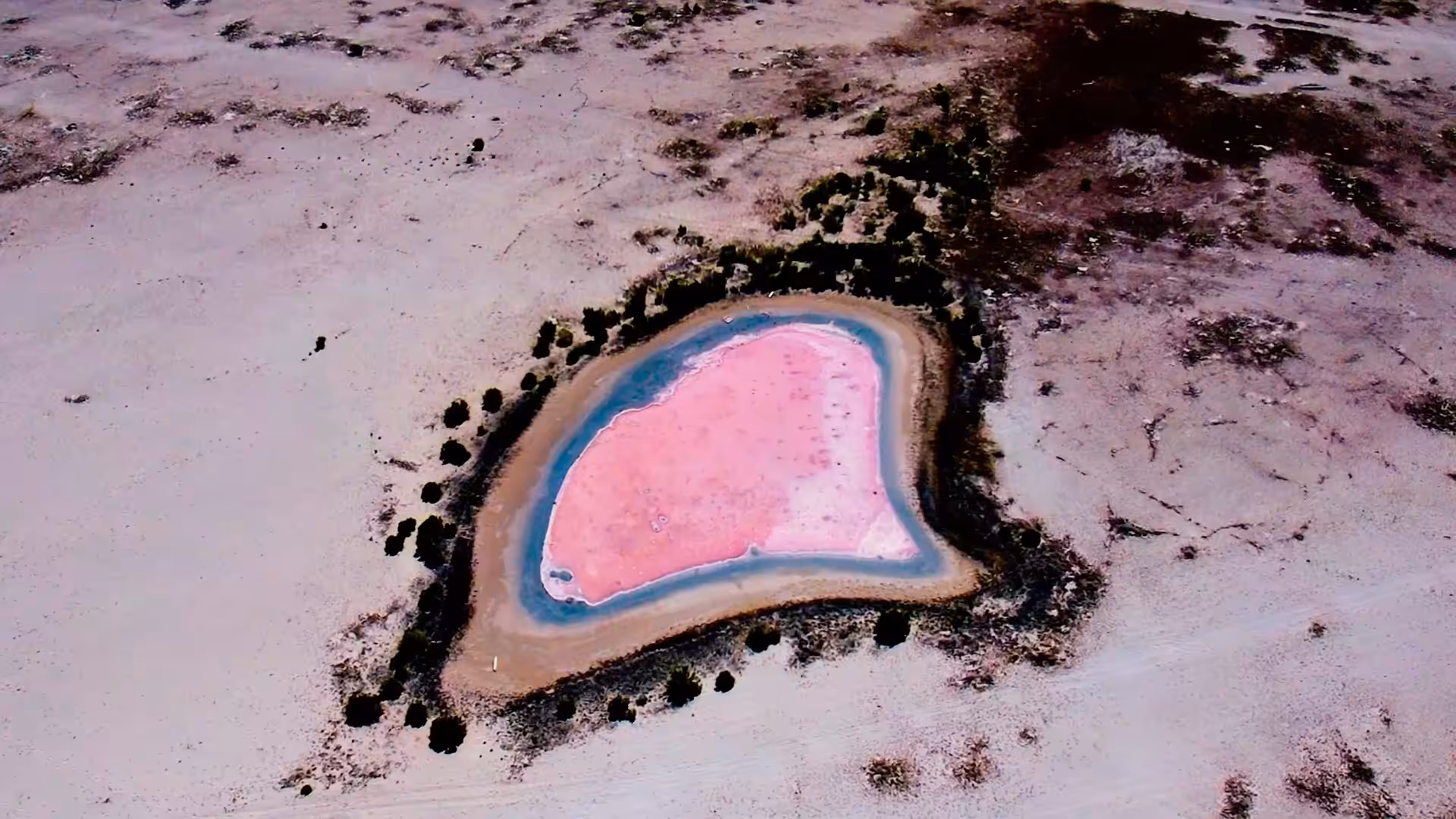 GeoLegacy Pink Heart Lake