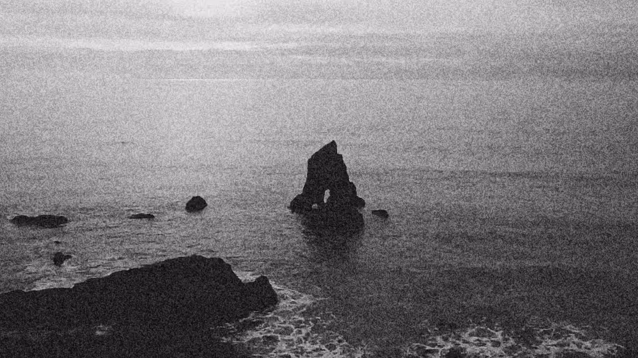 Waves & Dreams