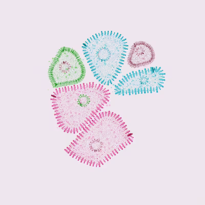 Organelles #3
