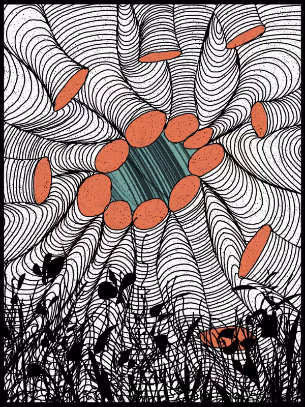 Play with lines #zentangle #18