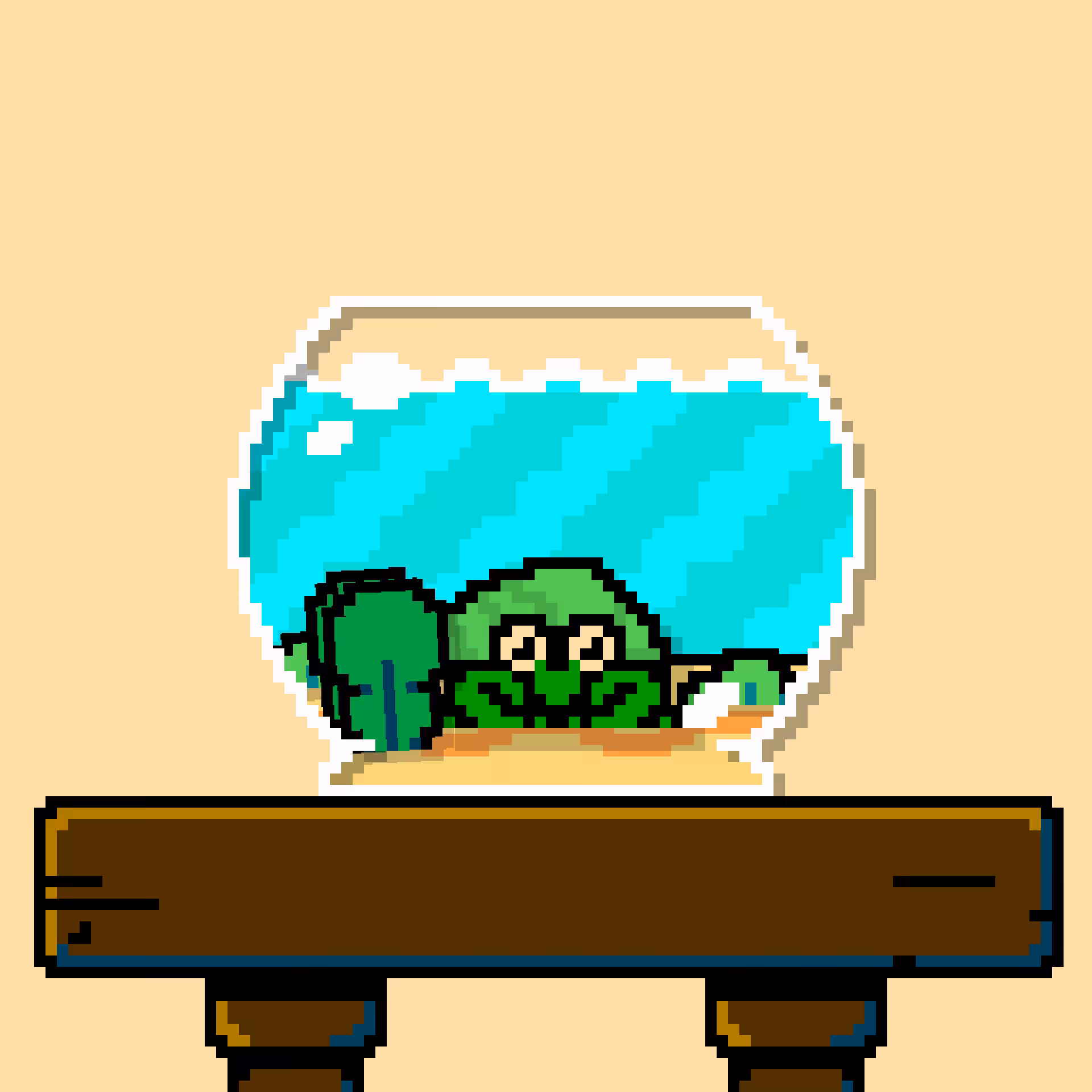 hermit crab #166
