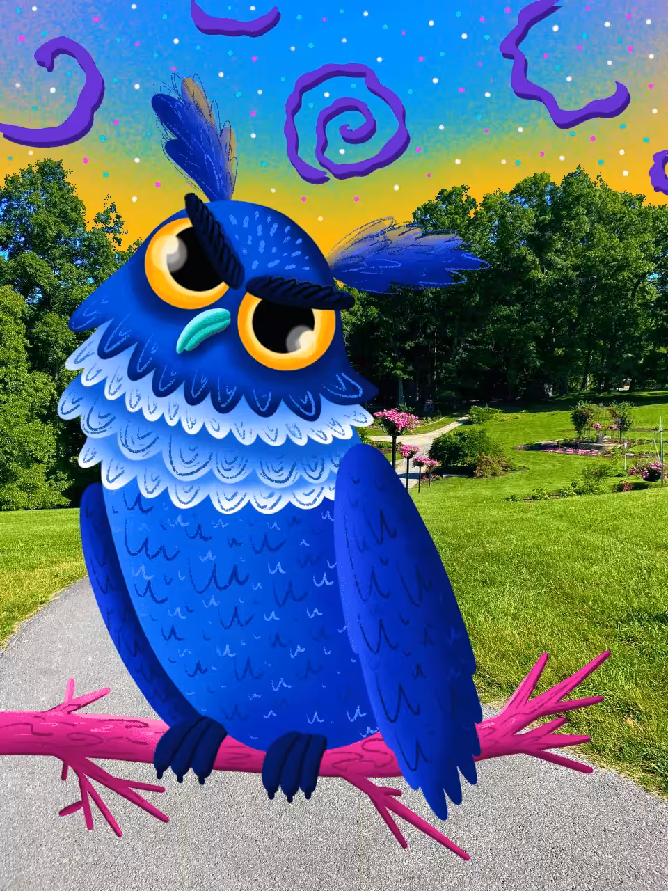 My friend the owl