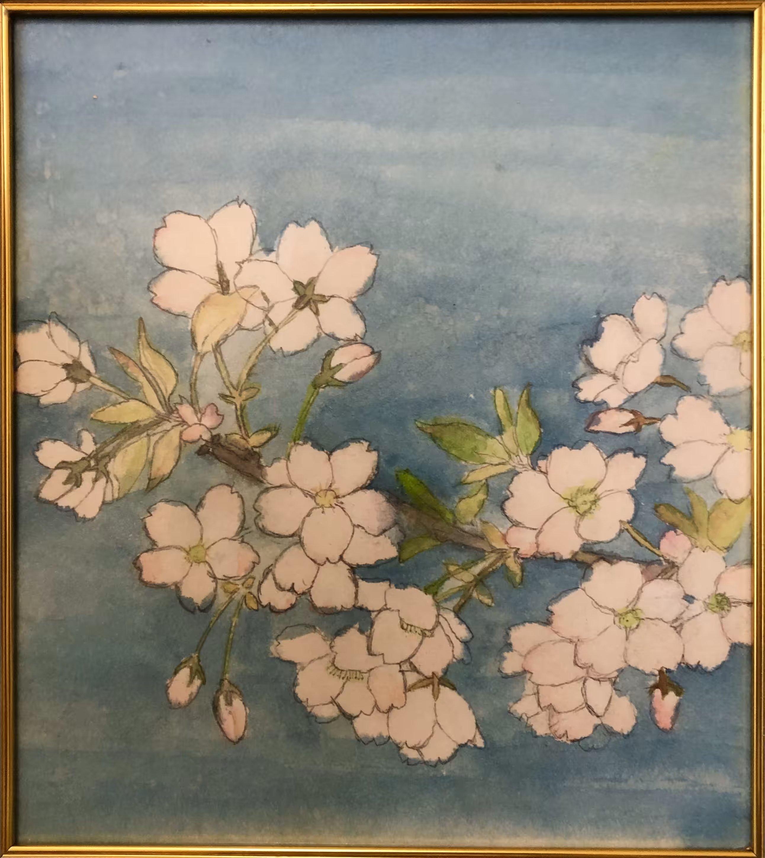 SAKURA