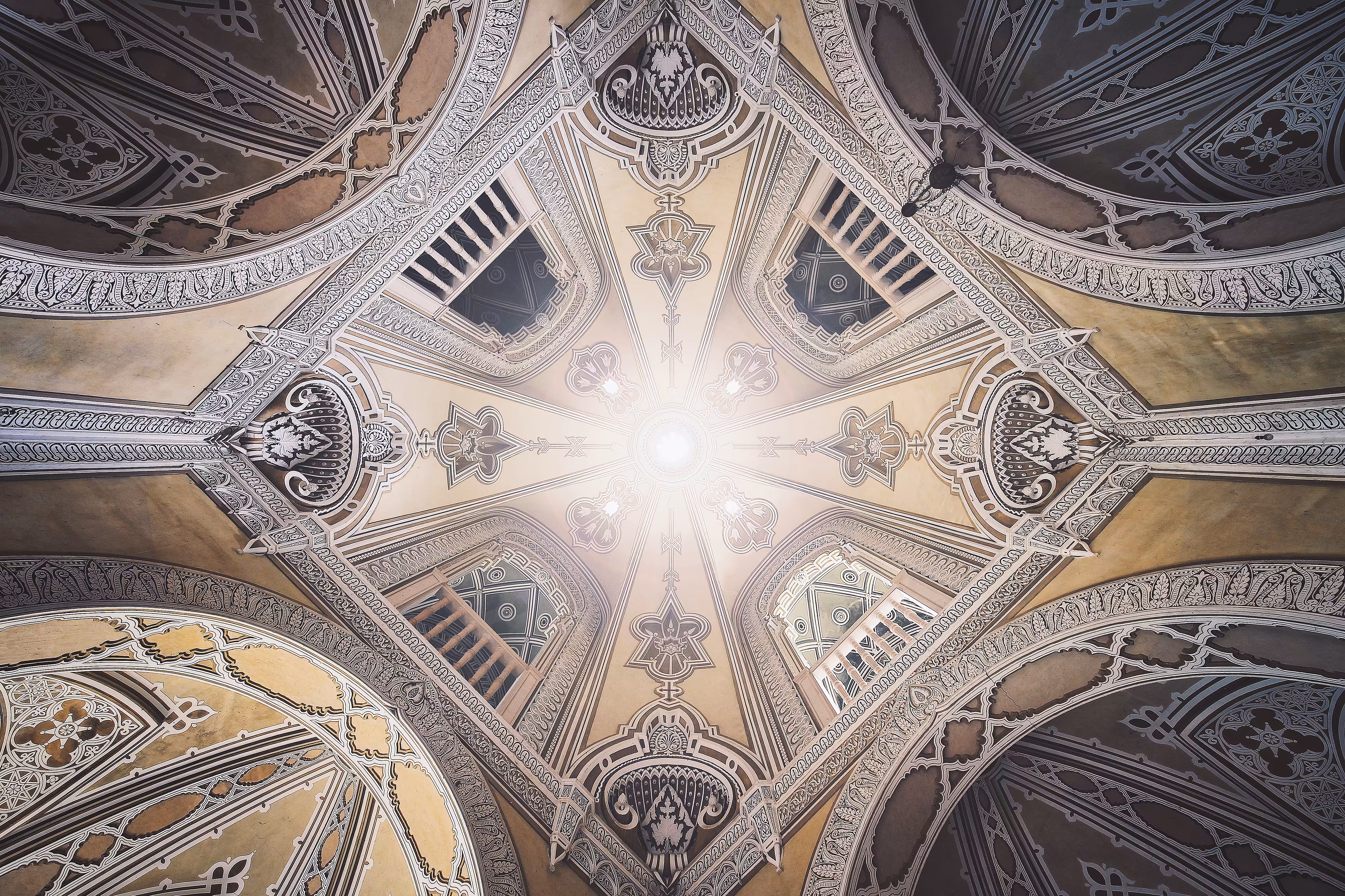 look up and see