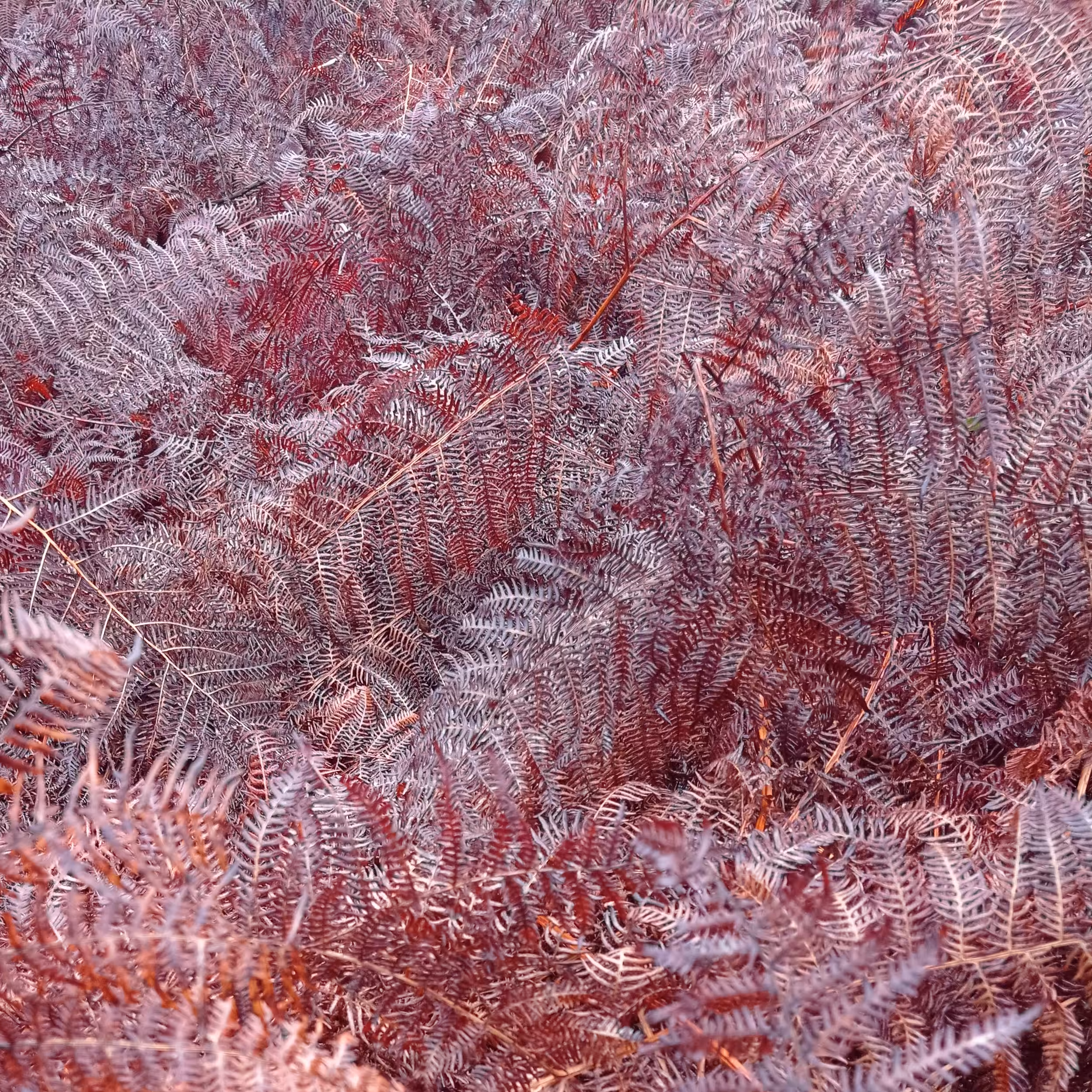Fake Generative #3