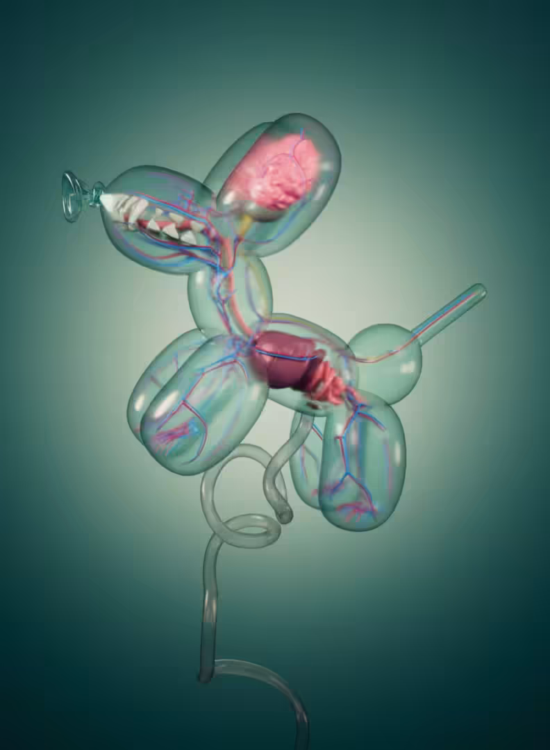 Balloon Dog Fetus (P337C)