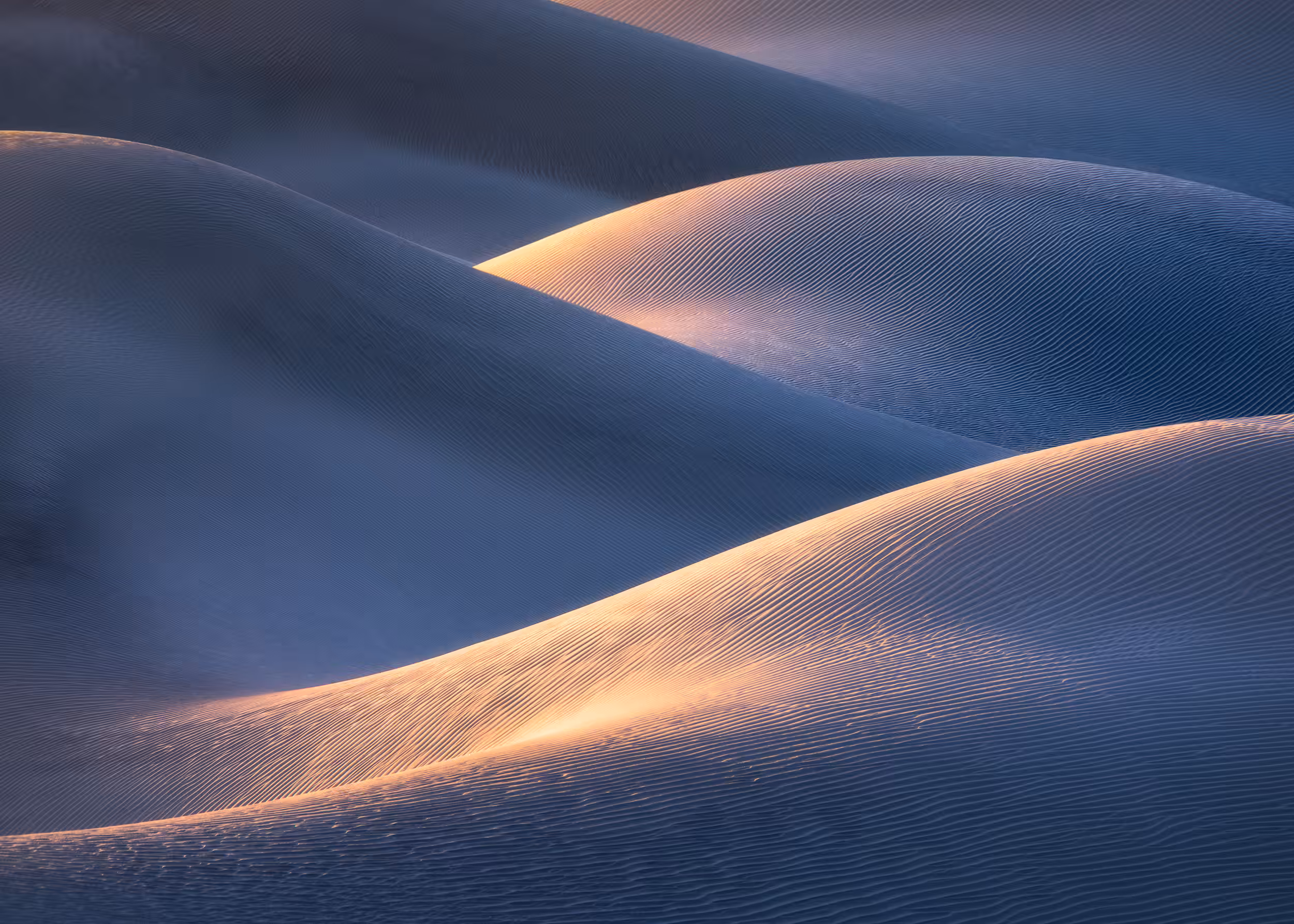 Mojave Winds #7 - Evening's Elegy