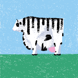cow #204