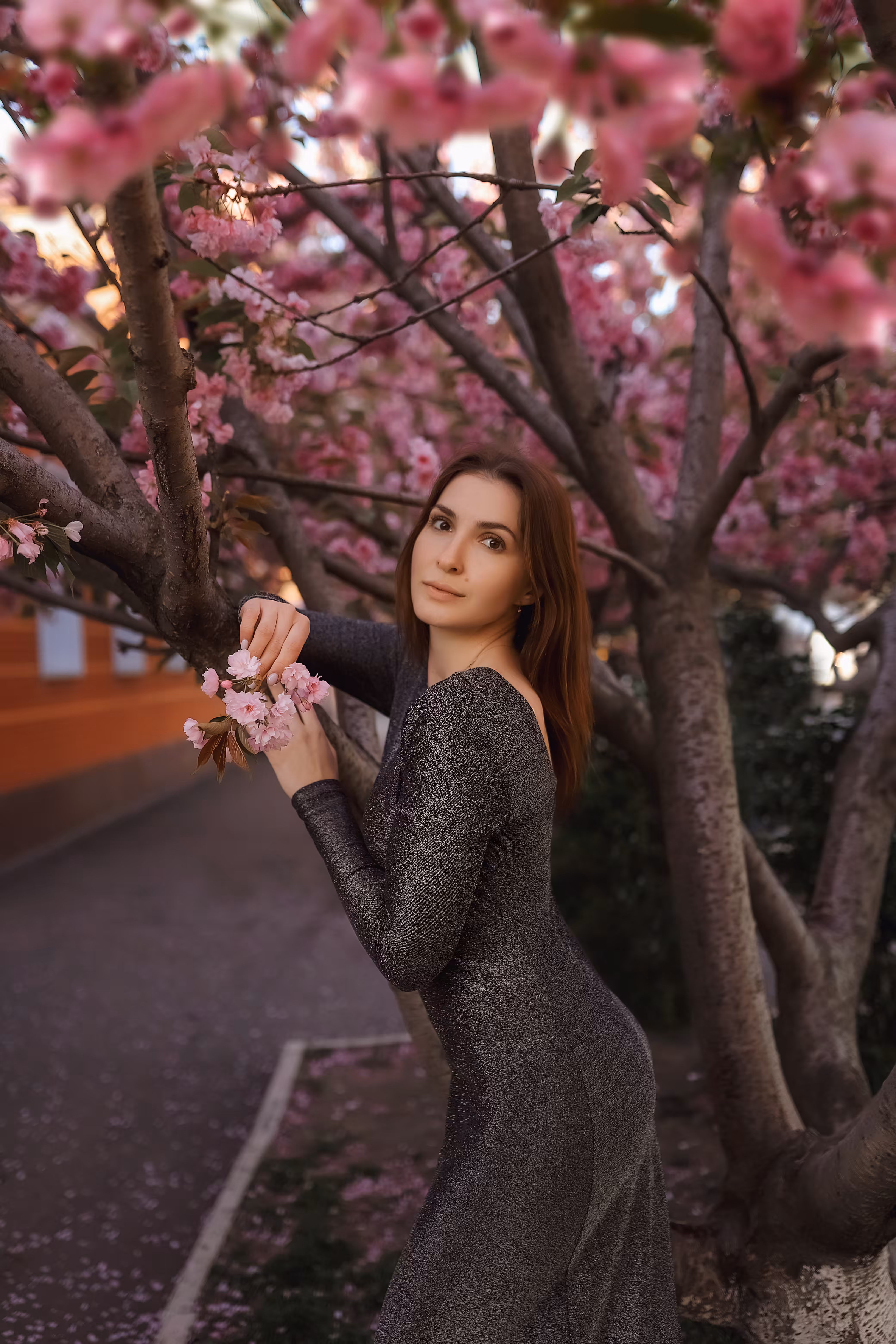 What are the flowers silent about?