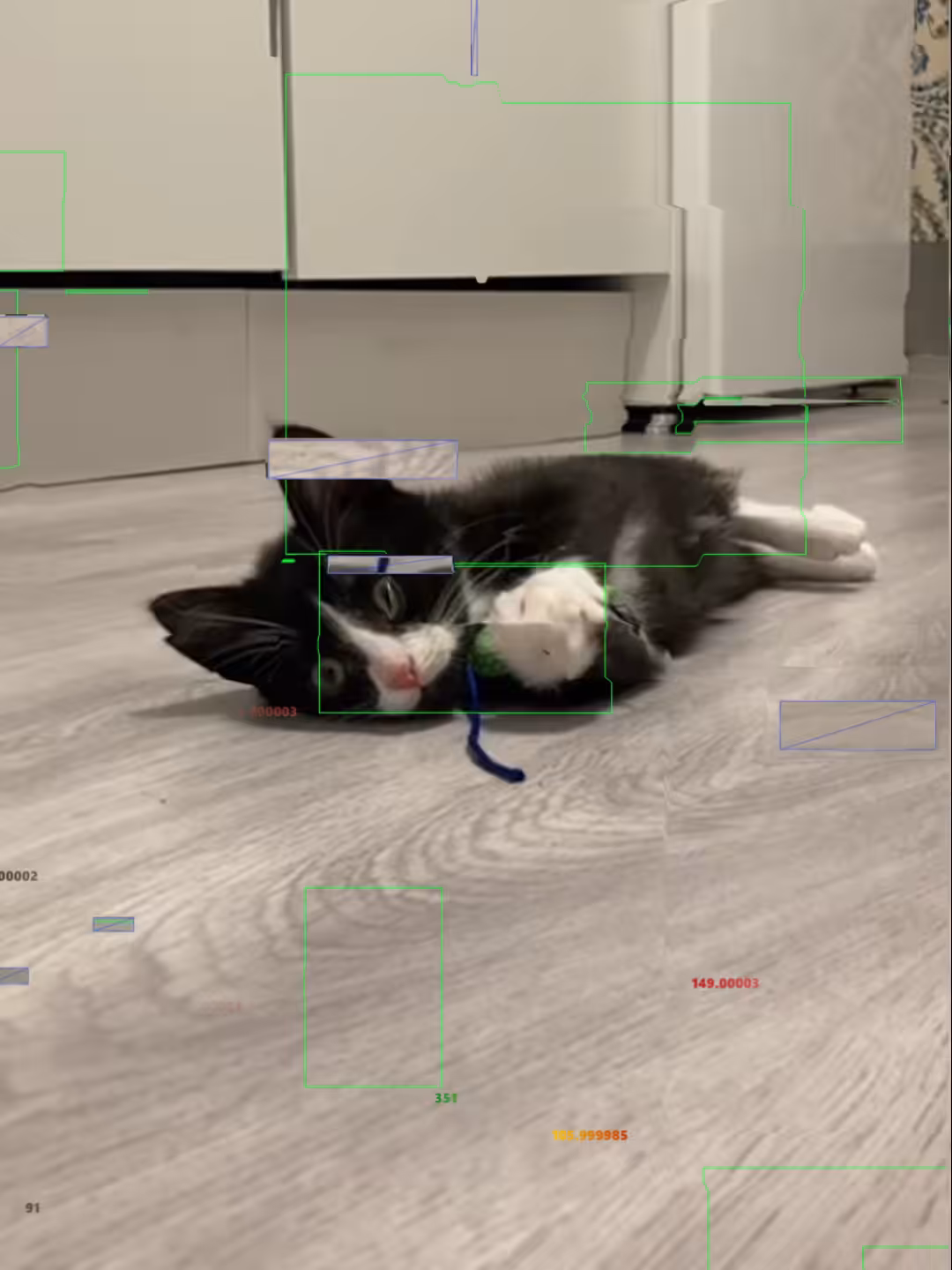 GIF#123 - Cooper 