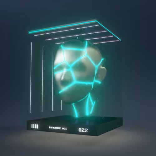 FRACTURE BOI - 022