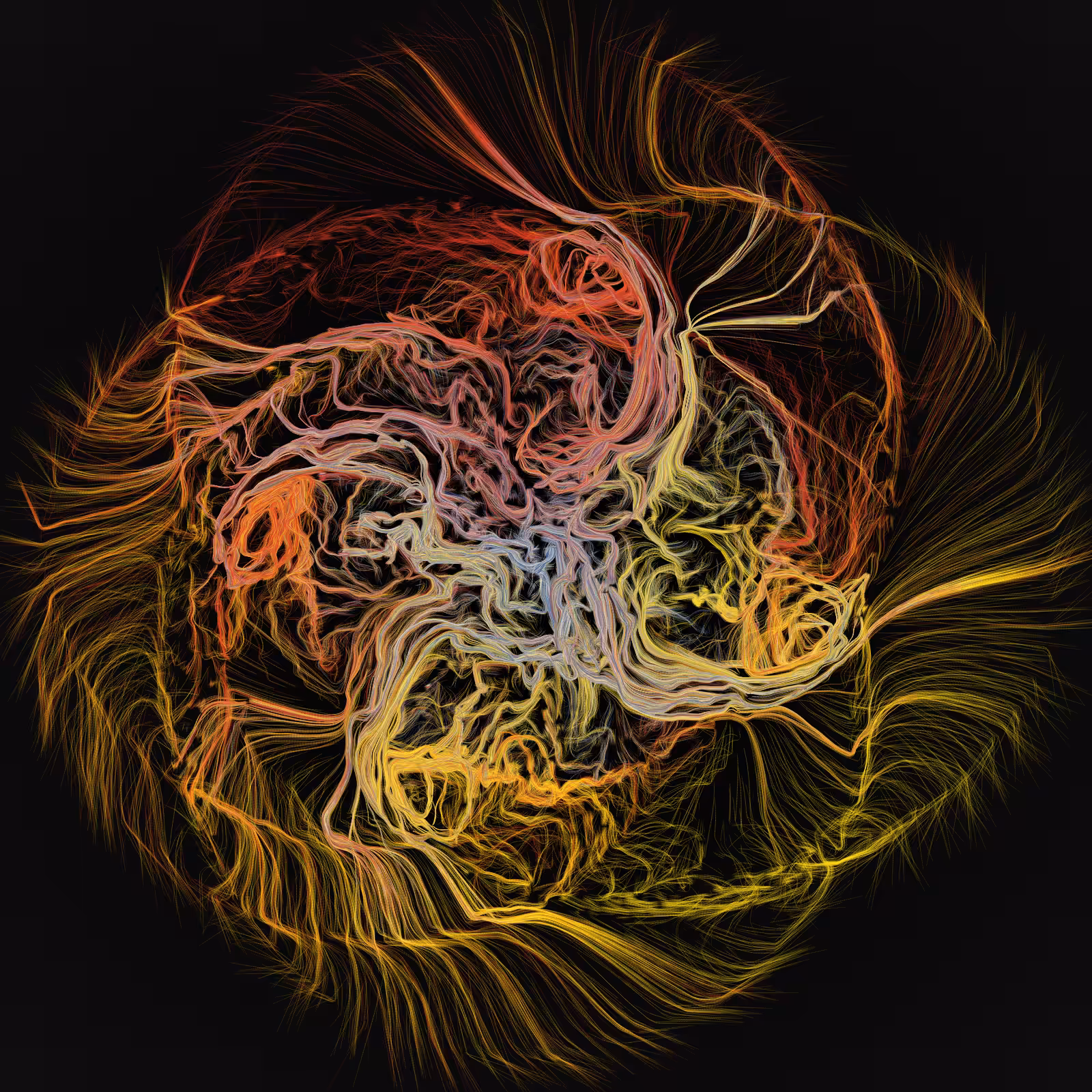 Dendrites #521