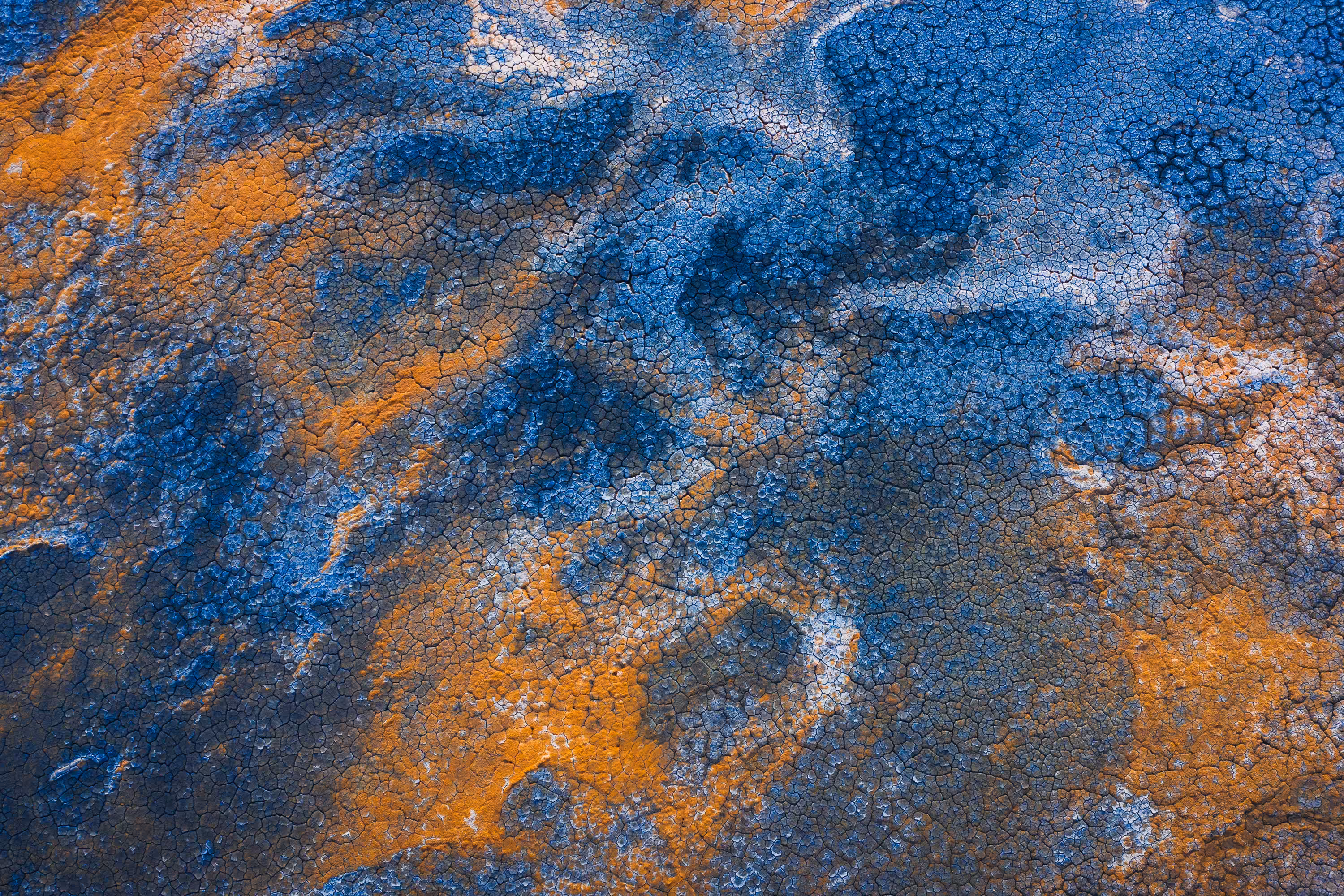 Earth Canvas #16