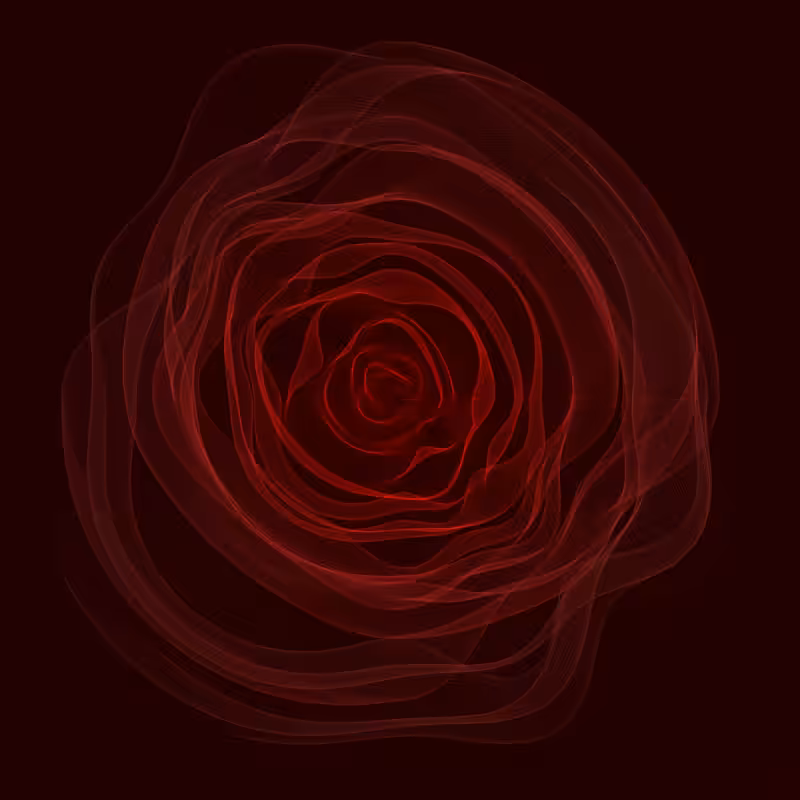 Roses #15
