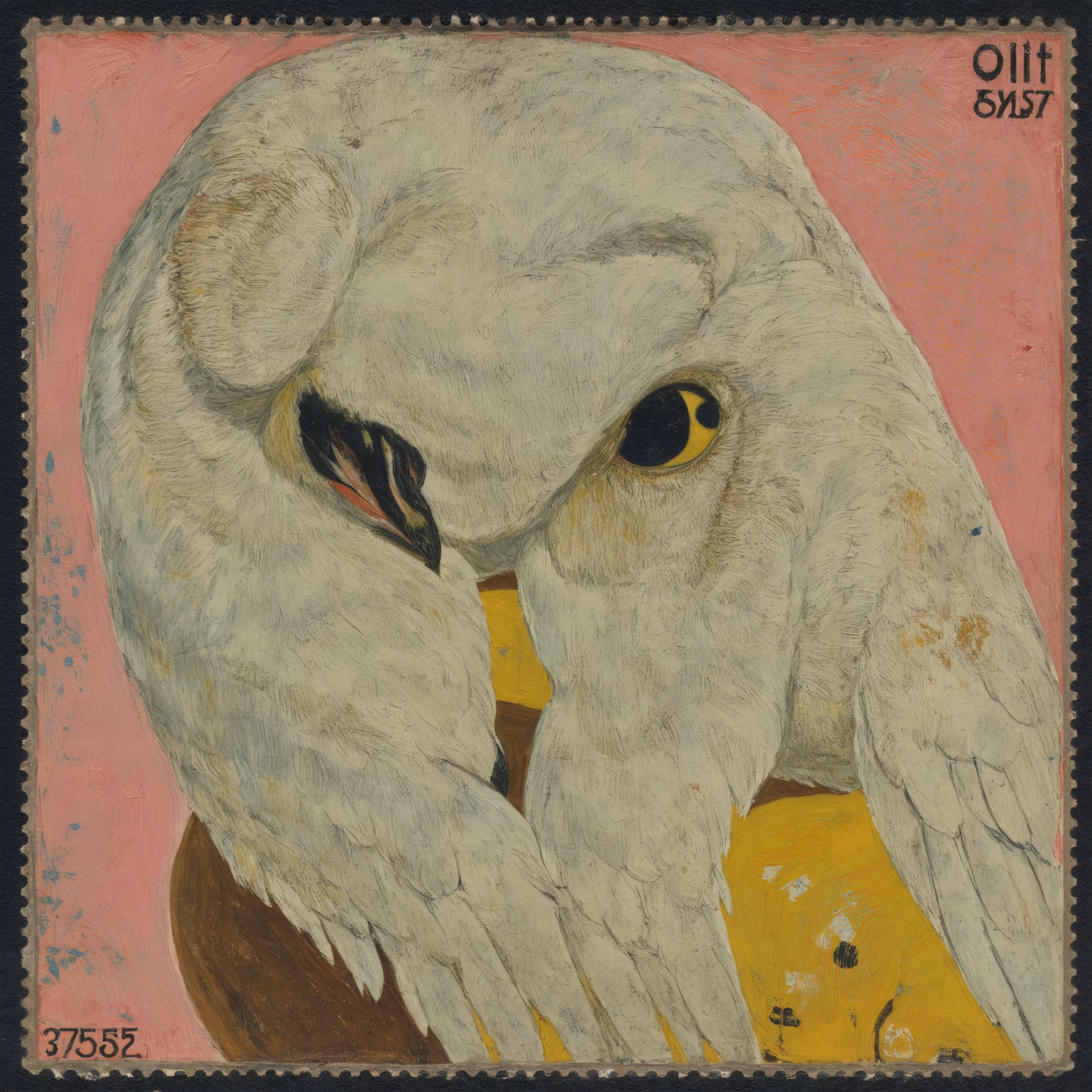 the order of owls