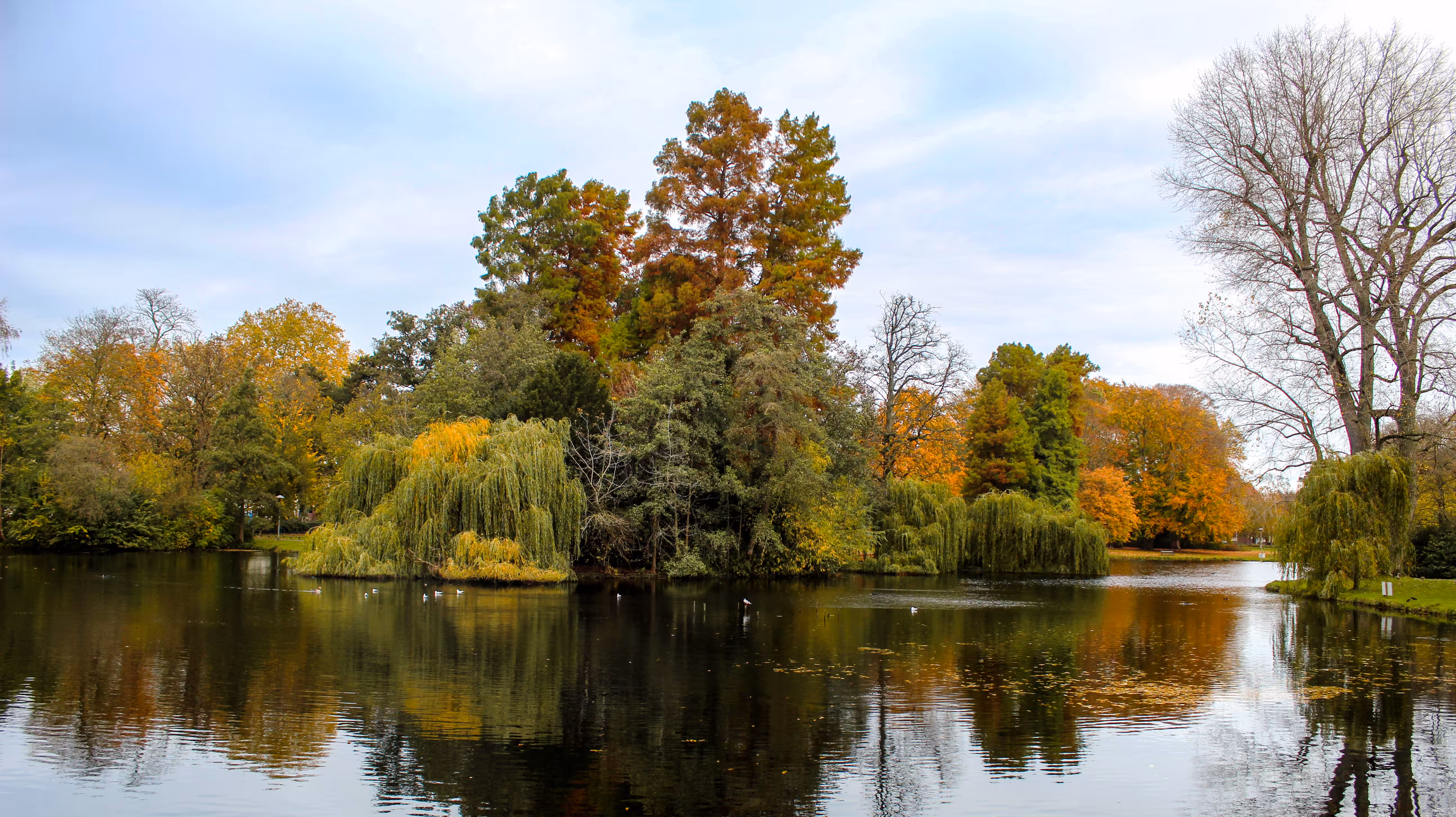 Wilhelminapark in autumn