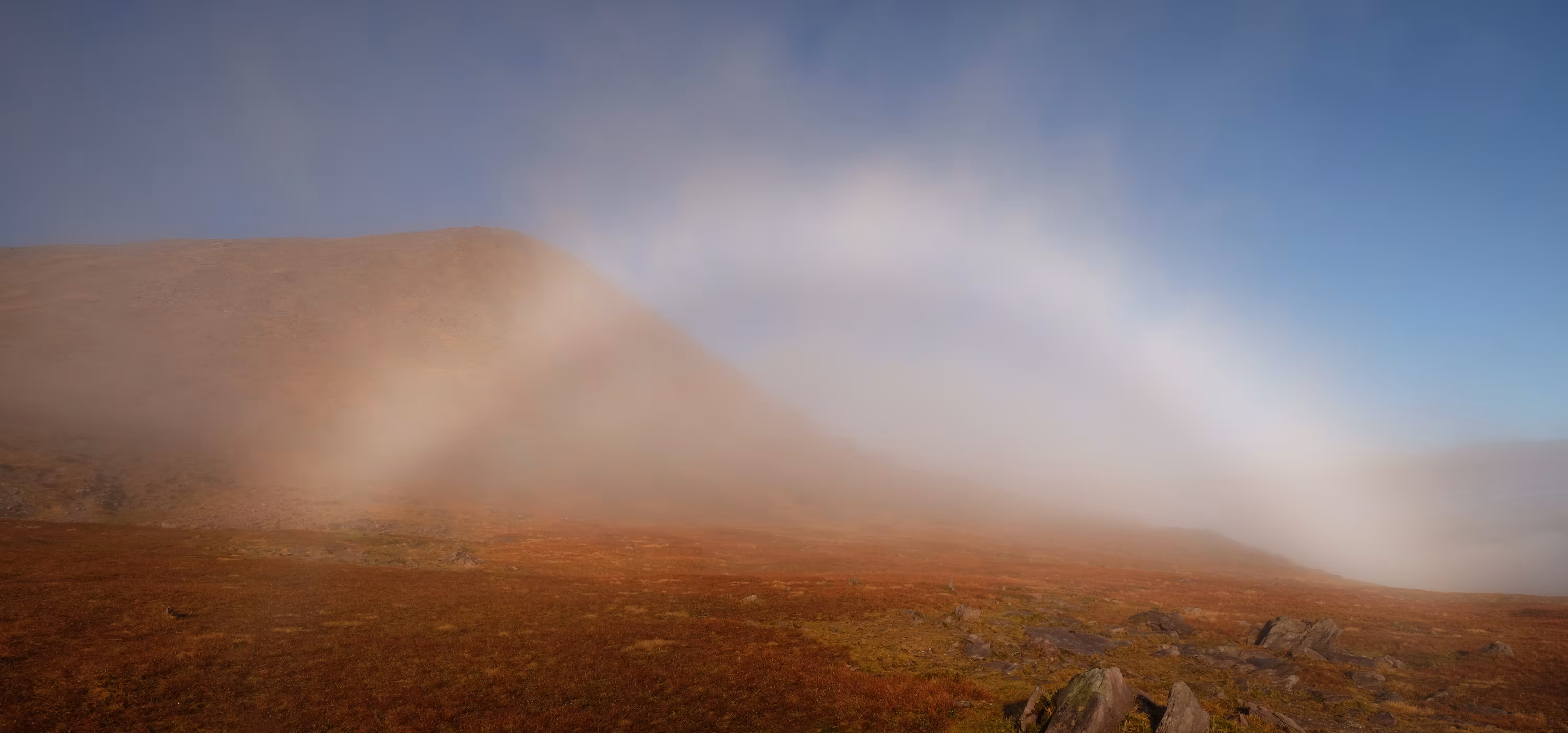 White Rainbow