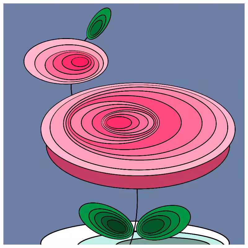 Roses #6