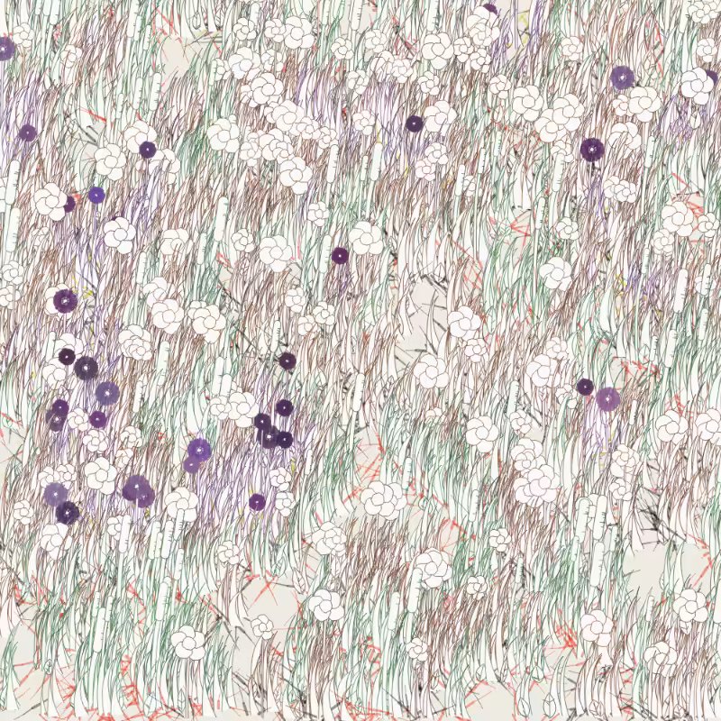 Petri 1500 #1240