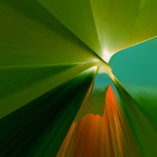 GRAVIZ#61