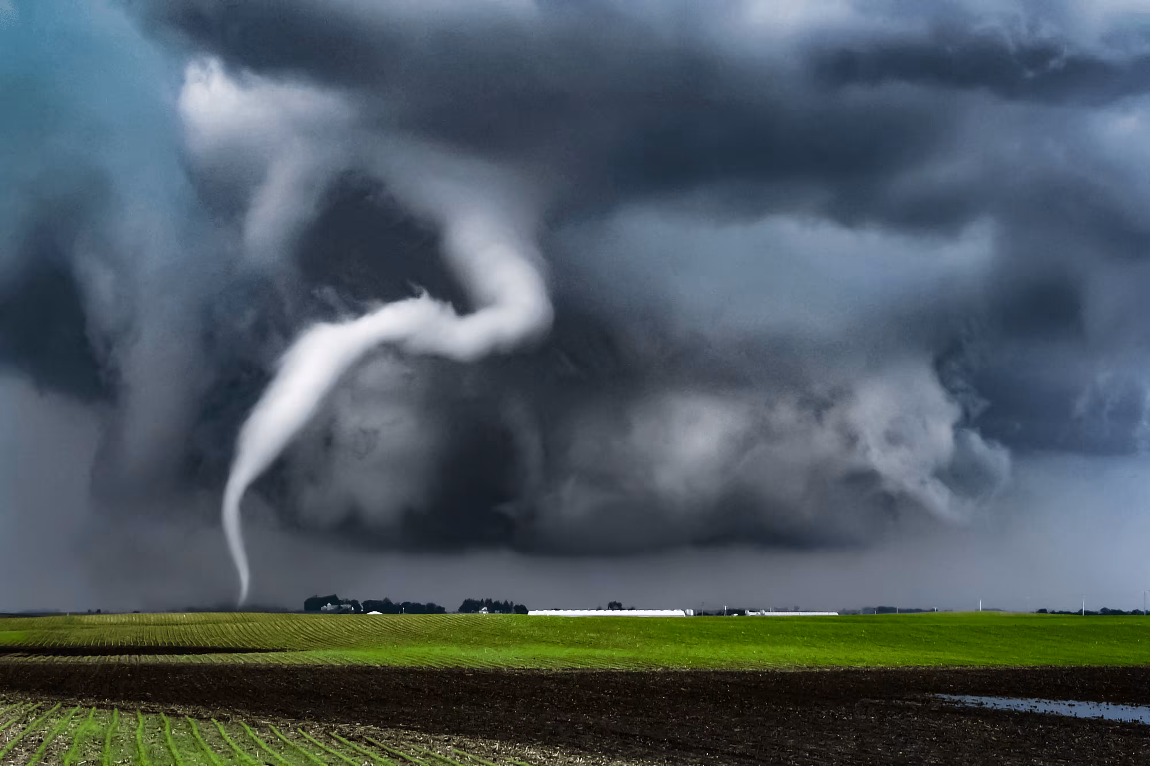 Storm of Recognition