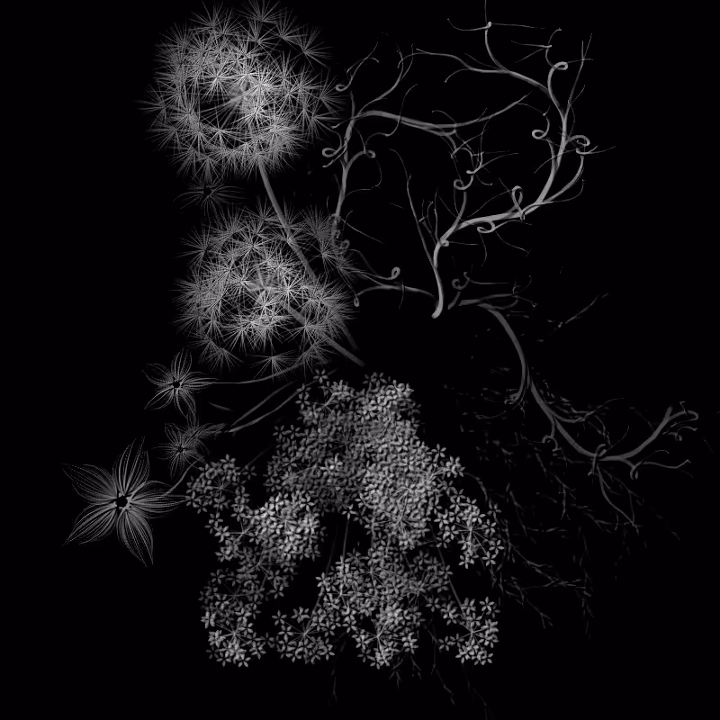 Botanical Ghosts