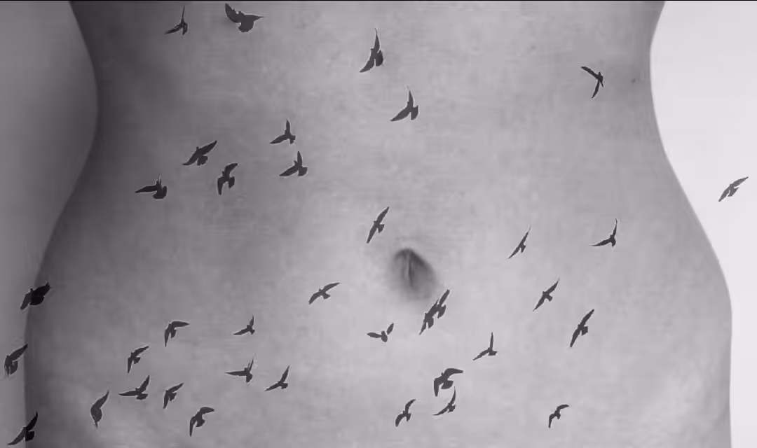 flying inside