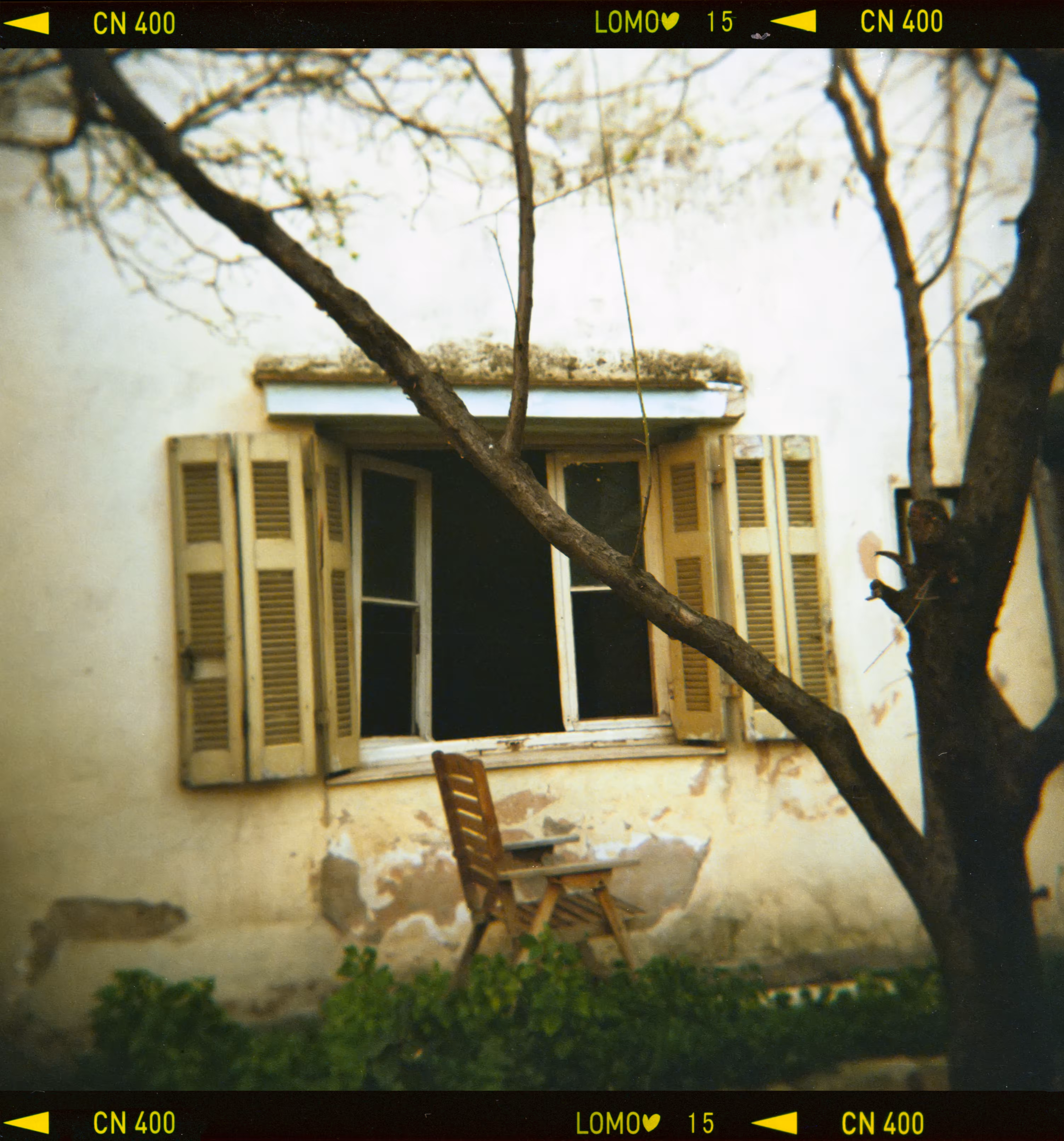 Window / 120 film  Holga