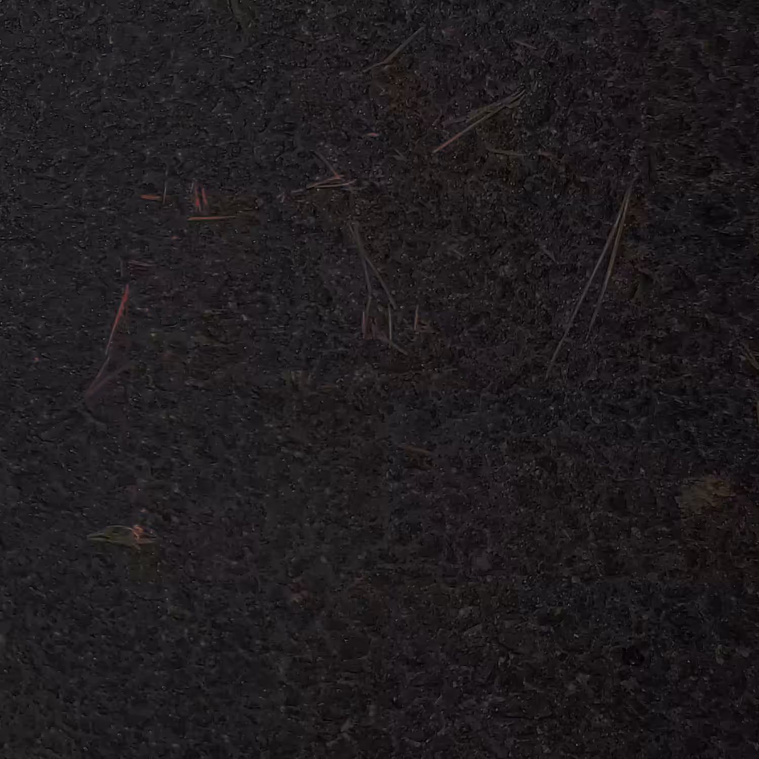 A Clean Getaway