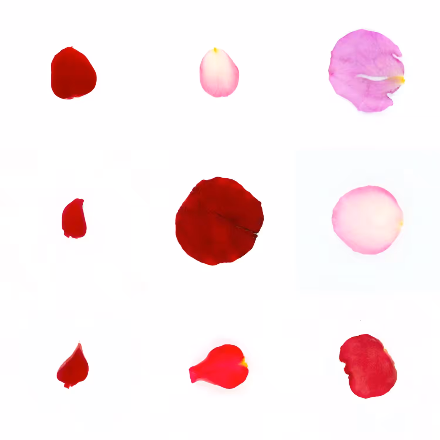 Infinite Petals 3x3#3364
