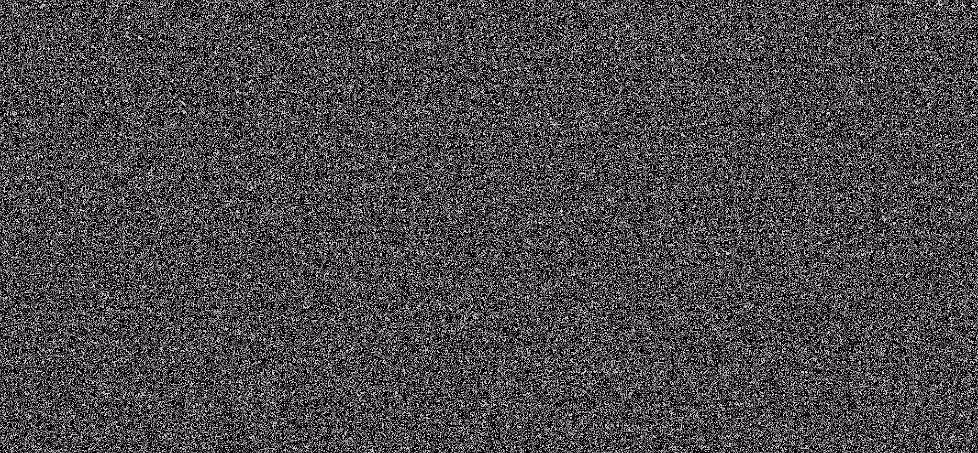 WE ARE NOISE