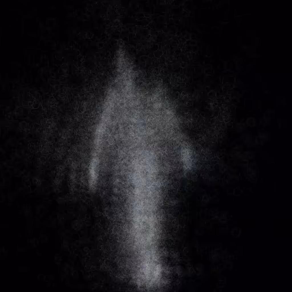 Phantom 141
