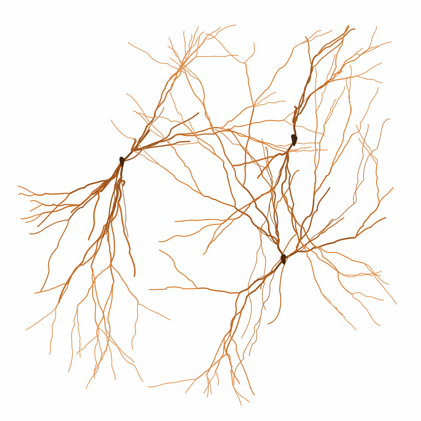 Ghost Forest Seedling #209