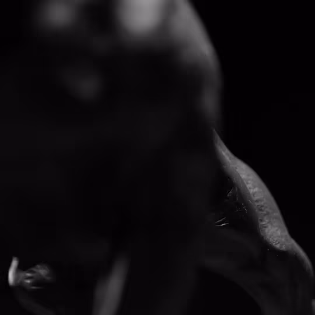 O.T.I.S - On This I Swear