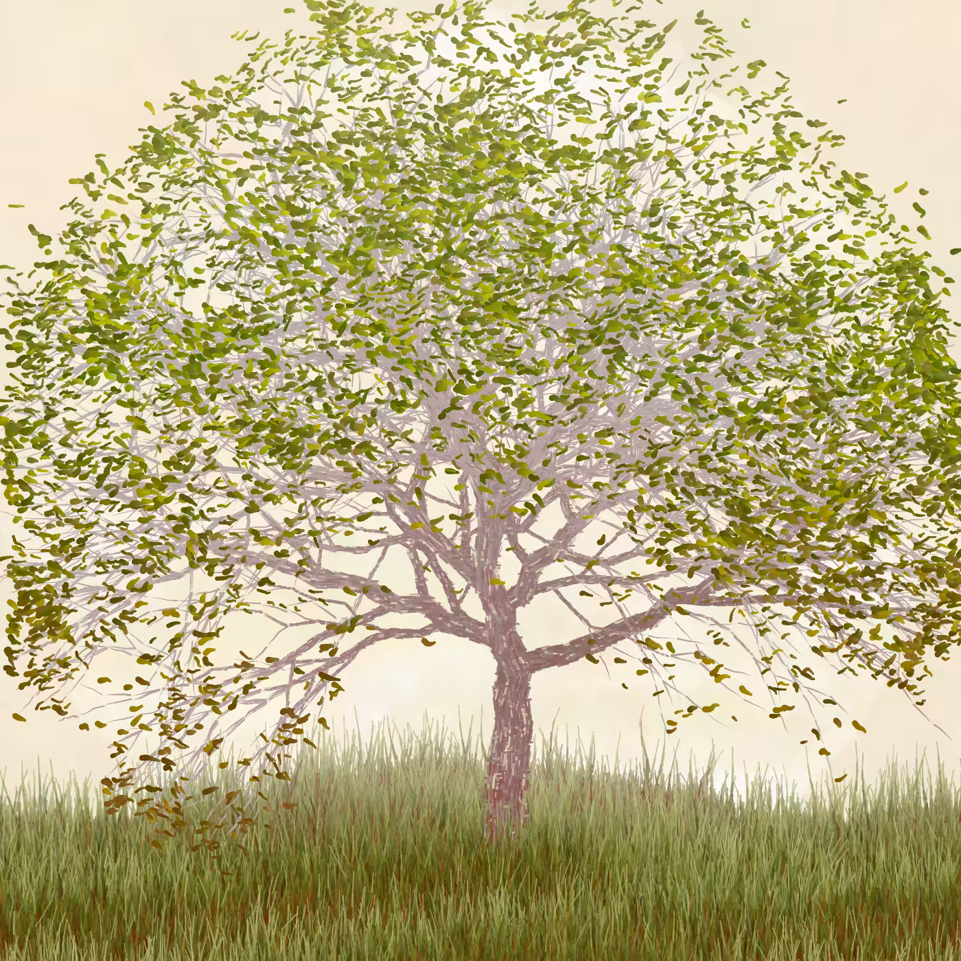 Ornamental Tree #105